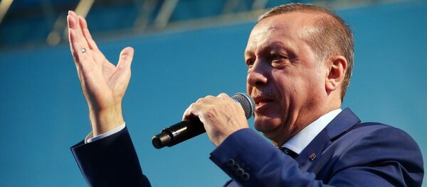 Cumhurbaşkanı Recep Tayyip Erdoğan - Sputnik Türkiye