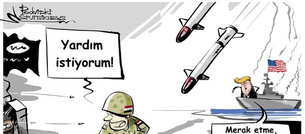 'ABD'nin Suriye'yi vurması 'de-facto olarak' teröristlerin çıkarlarına hizmet ediyor' - Sputnik Türkiye