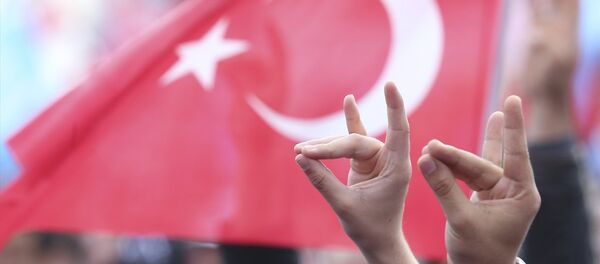 MHP'nin Yenikapı mitingi - Sputnik Türkiye