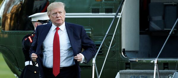 ABD Başkanı Donald Trump - Sputnik Türkiye
