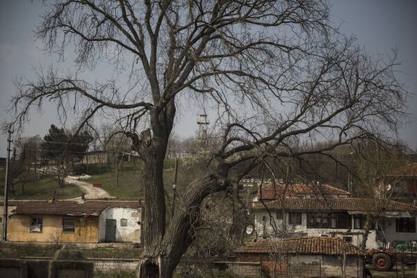 Sınıra yakın köylerde yaşayanlar, Yunanistan'ın sığınmacıları Türkiye tarafına  bıraktığını anlatıyor - Sputnik Türkiye