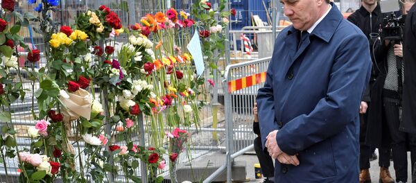 İsveç Başbakanı Stefan Löfven - Sputnik Türkiye