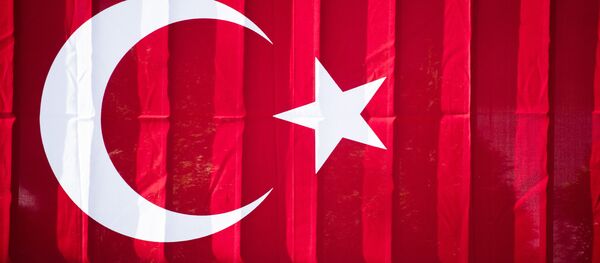 Türk bayrağı / Türkiye'nin Berlin Büyükelçiliği - Sputnik Türkiye