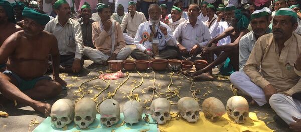 Tamil Nadu çiftçileri Tamil Nadu çiftçileri - Sputnik Türkiye