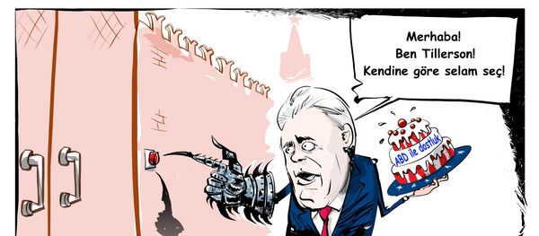 Tillerson, Rusya'dan ABD ve Esad arasında seçim yapmasını istedi - Sputnik Türkiye