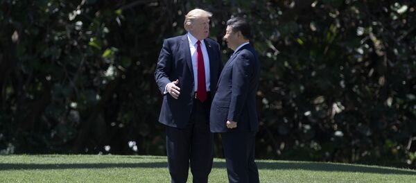 ABD Başkanı Donald Trump - Çin Devlet Başkanı Şi Cinping - Sputnik Türkiye