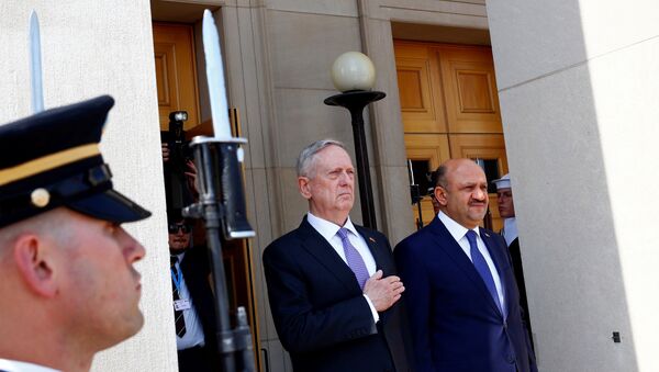 ABD Savunma Bakanı Jim Mattis ile Milli Savunma Bakanı Fikri Işık - Sputnik Türkiye