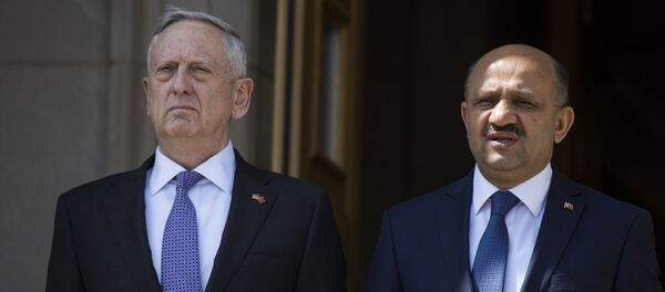 ABD Savunma Bakanı Jim Mattis ile Milli Savunma Bakanı Fikri Işık - Sputnik Türkiye