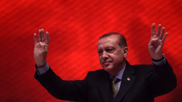 Recep Tayyip Erdoğan - Sputnik Türkiye