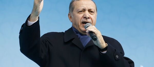 Recep Tayyip Erdoğan - Sputnik Türkiye