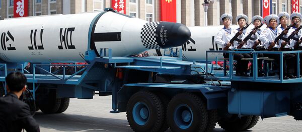 Kuzey Kore'de 'Güneş Günü' kutlamaları - Sputnik Türkiye