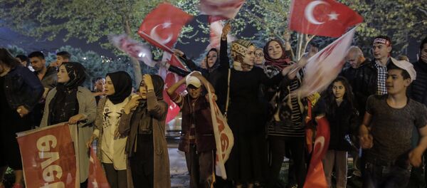 Referandum kutlamaları - Sputnik Türkiye