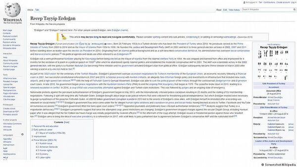 Cumhurbaşkanı Recep Tayyip Erdoğan hakkında Wikipedia'da açılan sayfa - Sputnik Türkiye