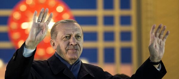 Cumhurbaşkanı Recep Tayyip Erdoğan - Sputnik Türkiye