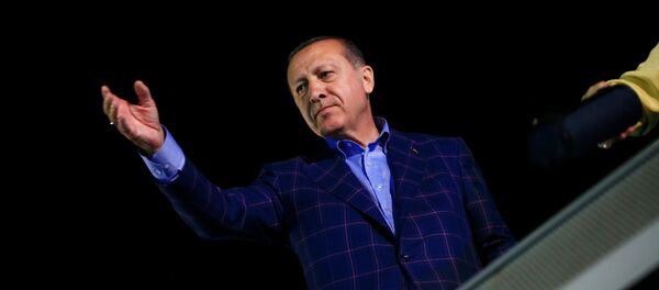 Cumhurbaşkanı Recep Tayyip Erdoğan - Sputnik Türkiye