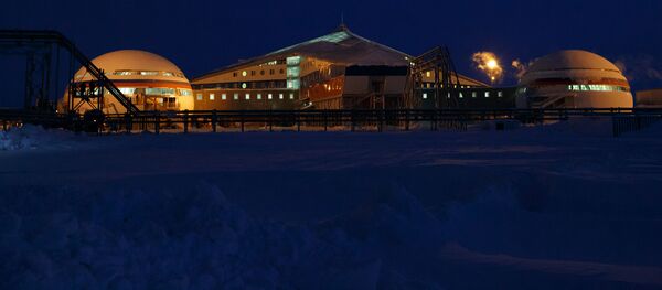 Arktik bölgesindeki Rus Kuzey Filosu'na bağlı ‘Arktik Trilistnik' (Arktik Yoncası) isimli askeri üssün alanından bir kare. Arktik bölgesindeki Rus Kuzey Filosu'na bağlı ‘Arktik Trilistnik' (Arktik Yoncası) isimli askeri üssün alanından bir kare. - Sputnik Türkiye