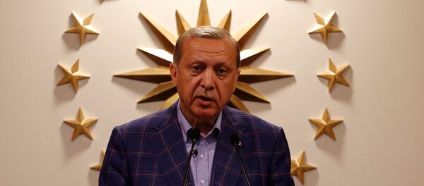 Cumhurbaşkanı Recep Tayyip Erdoğan - Sputnik Türkiye
