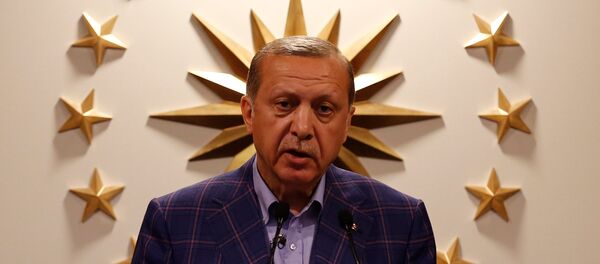 Cumhurbaşkanı Recep Tayyip Erdoğan - Sputnik Türkiye