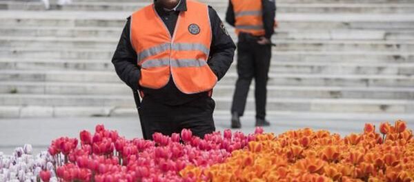 Taksim'deki laleleri koruyan özel güvenlik birimleri - Sputnik Türkiye