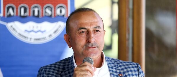 Dışişleri Bakanı Mevlüt Çavuşoğlu - Sputnik Türkiye