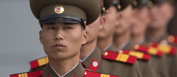Kuzey Kore askeri - Sputnik Türkiye