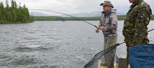 Rusya Devlet Başkanı Vladimir Putin - Sputnik Türkiye