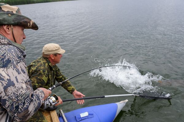 Rusya Devlet Başkanı Vladimir Putin - Sputnik Türkiye