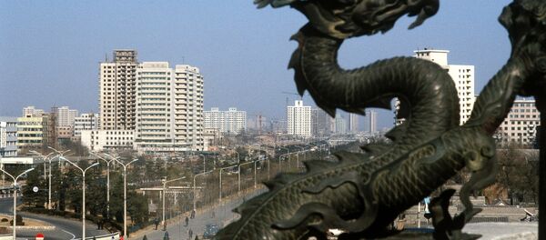 Çin- Pekin - Sputnik Türkiye