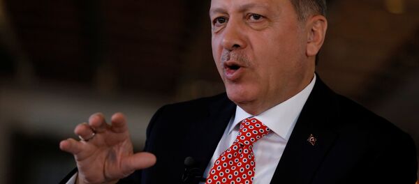 Cumhurbaşkanı Recep Tayyip Erdoğan - Sputnik Türkiye