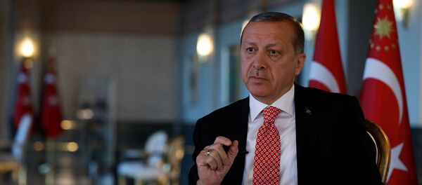 Cumhurbaşkanı Recep Tayyip Erdoğan - Sputnik Türkiye
