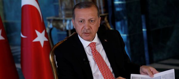 Cumhurbaşkanı Recep Tayyip Erdoğan Cumhurbaşkanı Recep Tayyip Erdoğan - Sputnik Türkiye
