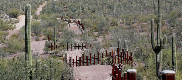 ABD-Meksika sınırı - Sputnik Türkiye