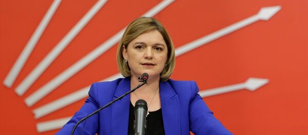 CHP Sözcüsü Selin Sayek Böke - Sputnik Türkiye