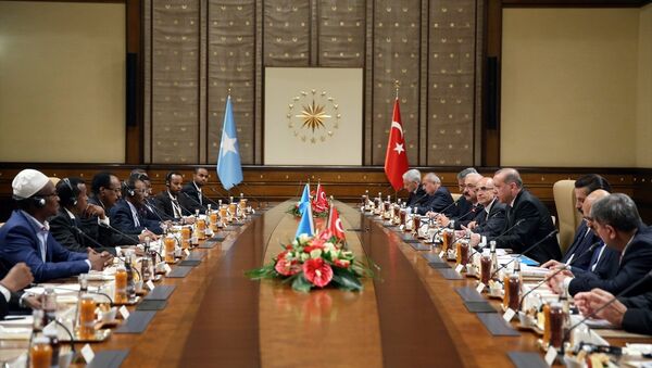 Cumhurbaşkanı Recep Tayyip Erdoğan ve Somali Cumhurbaşkanı Muhammed Abdullah Fermacu - Sputnik Türkiye