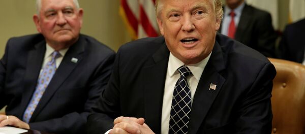 ABD Başkanı Donald Trump - Sputnik Türkiye