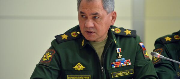 Rusya Savunma Bakanı Sergey Şoygu - Sputnik Türkiye