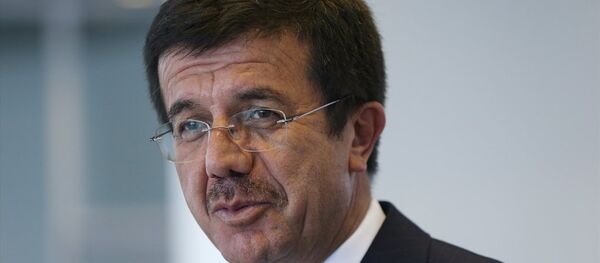 Ekonomi Bakanı Nihat Zeybekci - Sputnik Türkiye