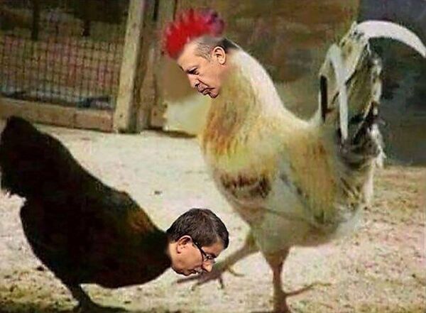 Cumhurbaşkanı Erdoğan'ı 'horoz', eski Başbakan Davutoğlu'nu 'tavuk' olarak gösteren fotomontaj. Cumhurbaşkanı Erdoğan'ı 'horoz', eski Başbakan Davutoğlu'nu 'tavuk' olarak gösteren fotomontaj. - Sputnik Türkiye