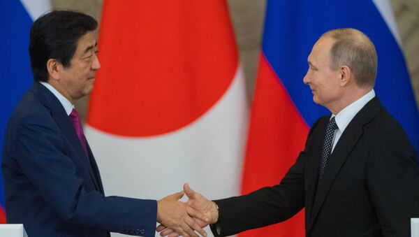 Ruysa Devlet Başkanı Vladimir Putin, Japonya Başbakanı Şinzo Abe ile görüştü - Sputnik Türkiye