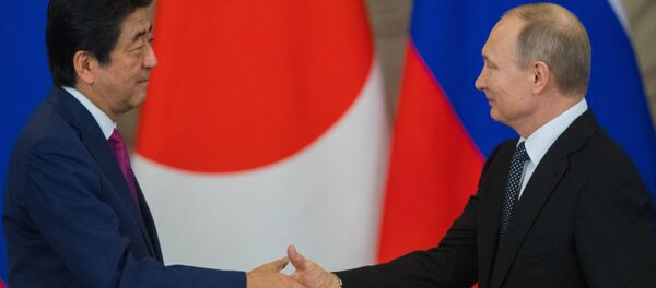 Ruysa Devlet Başkanı Vladimir Putin, Japonya Başbakanı Şinzo Abe ile görüştü - Sputnik Türkiye