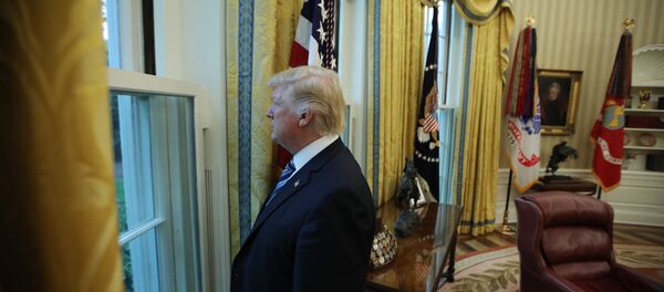 ABD Başkanı Donald Trump - Sputnik Türkiye