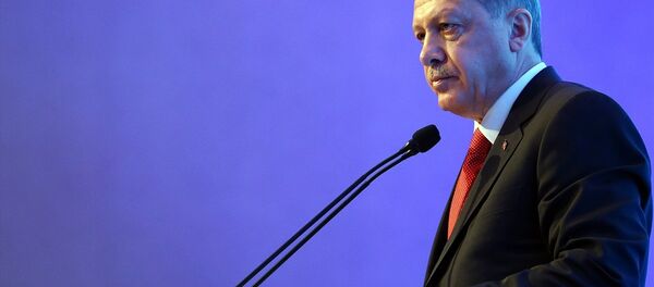 Cumhurbaşkanı Recep Tayyip Erdoğan - Sputnik Türkiye