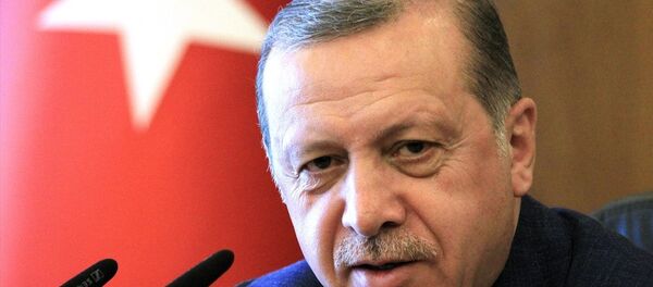 Cumhurbaşkanı Recep Tayyip Erdoğan - Sputnik Türkiye