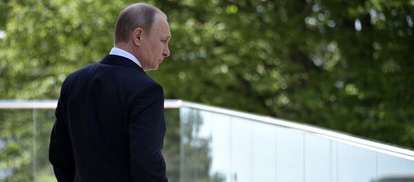 Vladimir Putin - Sputnik Türkiye