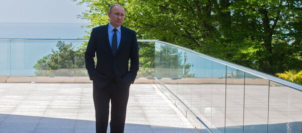 Vladimir Putin - Sputnik Türkiye