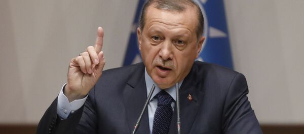 Cumhurbaşkanı Erdoğan, AK Parti'ye üye oldu - Sputnik Türkiye