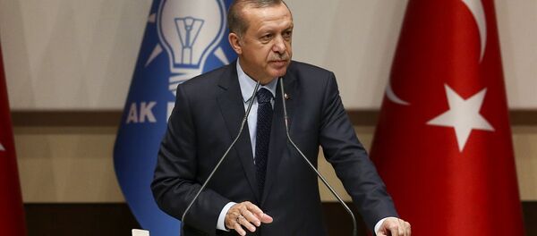 Cumhurbaşkanı Recep Tayyip Erdoğan - Sputnik Türkiye