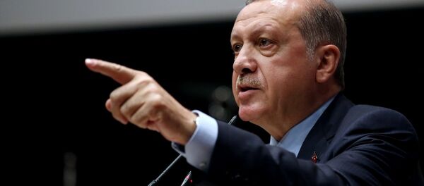 Cumhurbaşkanı Recep Tayyip Erdoğan - Sputnik Türkiye