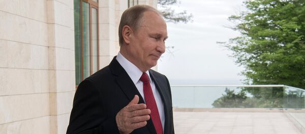 Vladimir Putin - Sputnik Türkiye