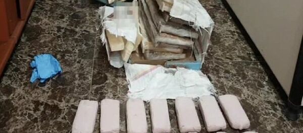 Bal peteklerinin arasından 5 kilo 220 gram eroin çıktı - Sputnik Türkiye